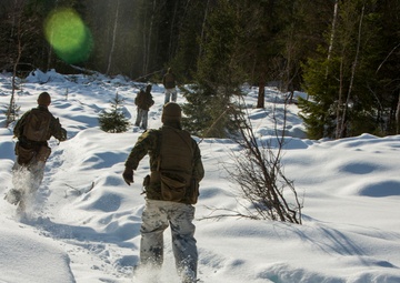 No Rest for the Wicked 1/8