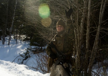 No Rest for the Wicked 1/8