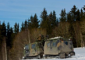 No Rest for the Wicked 1/8