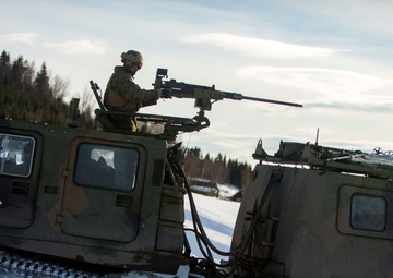 No Rest for the Wicked 1/8