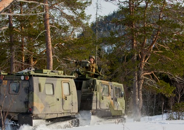 No Rest for the Wicked 1/8