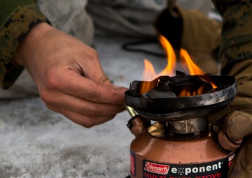 No Rest for the Wicked 1/8