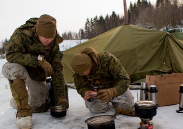 No Rest for the Wicked 1/8