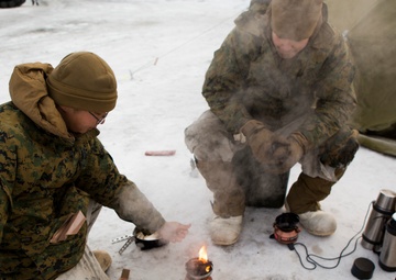 No Rest for the Wicked 1/8