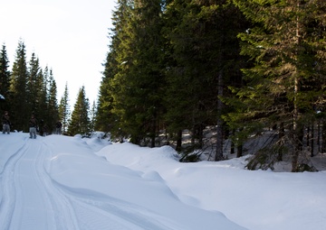 No Rest for the Wicked 1/8