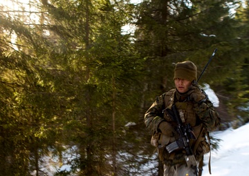 No Rest for the Wicked 1/8