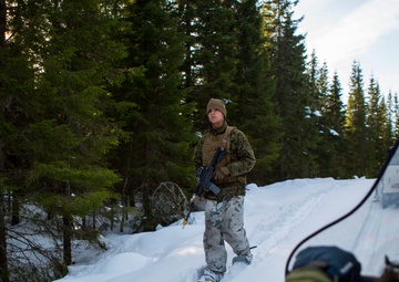 No Rest for the Wicked 1/8