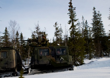 No Rest for the Wicked 1/8