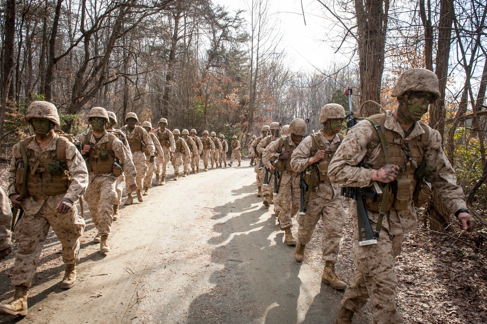 Charlie Company Field Exercise