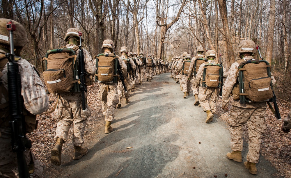 Charlie Company Field Exercise