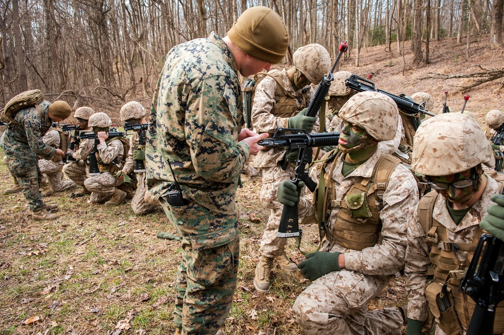 Charlie Company Field Exercise