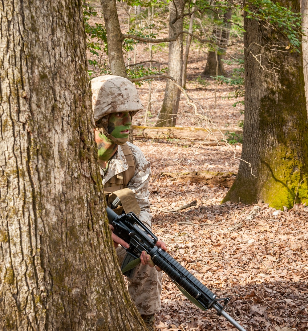 Charlie Company Field Exercise