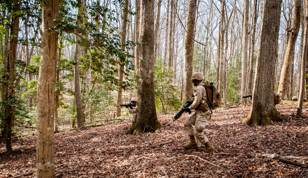 Charlie Company Field Exercise