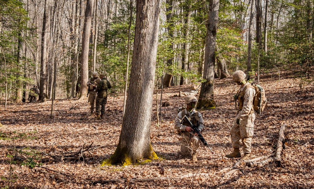 Charlie Company Field Exercise