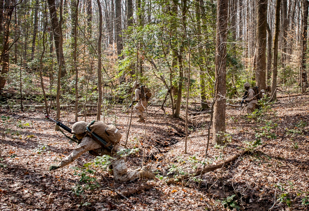 Charlie Company Field Exercise