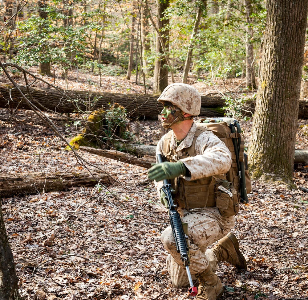 Charlie Company Field Exercise