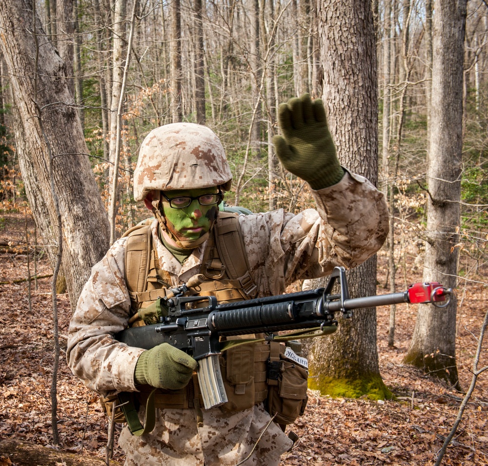 Charlie Company Field Exercise