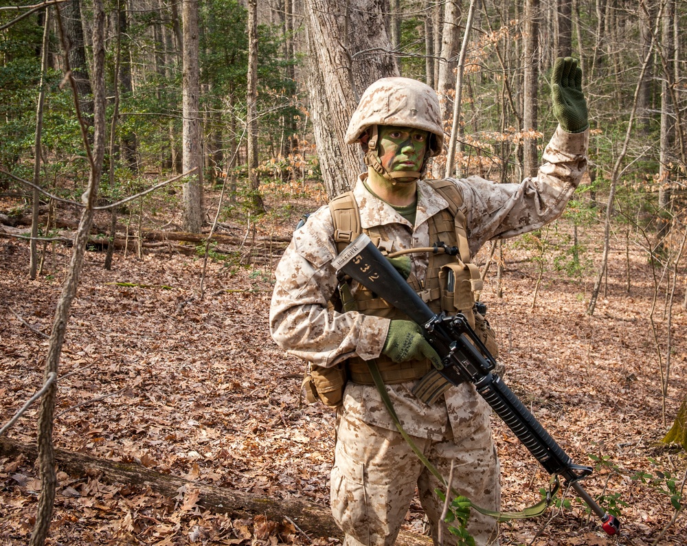 Charlie Company Field Exercise