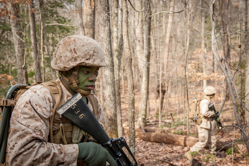 Charlie Company Field Exercise