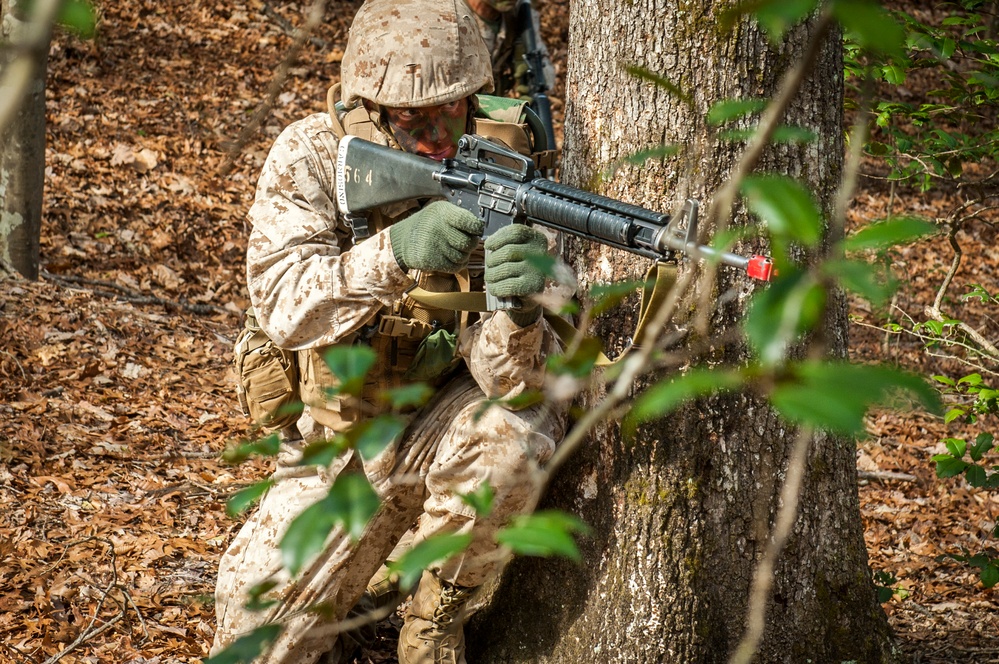 Charlie Company Field Exercise