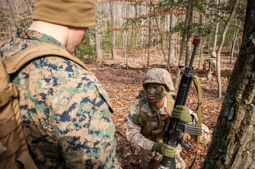 Charlie Company Field Exercise