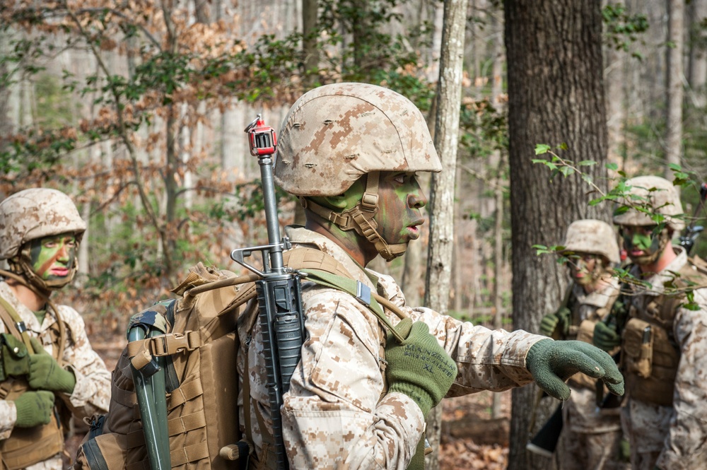 Charlie Company Field Exercise