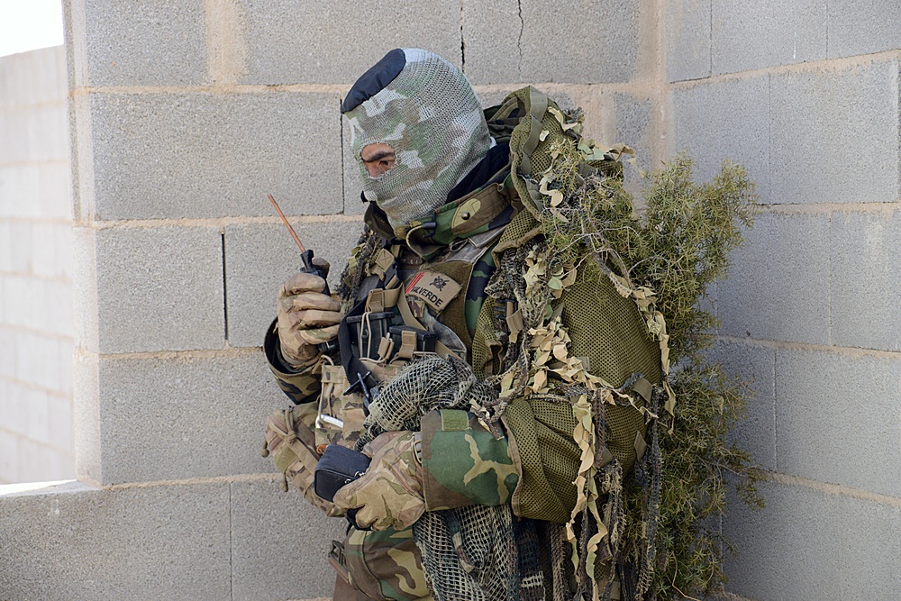 Exercise  Sky Soldier 16