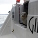 Coast Guard Auxiliary boat crew releases rehabilitated Harbor Seal pup