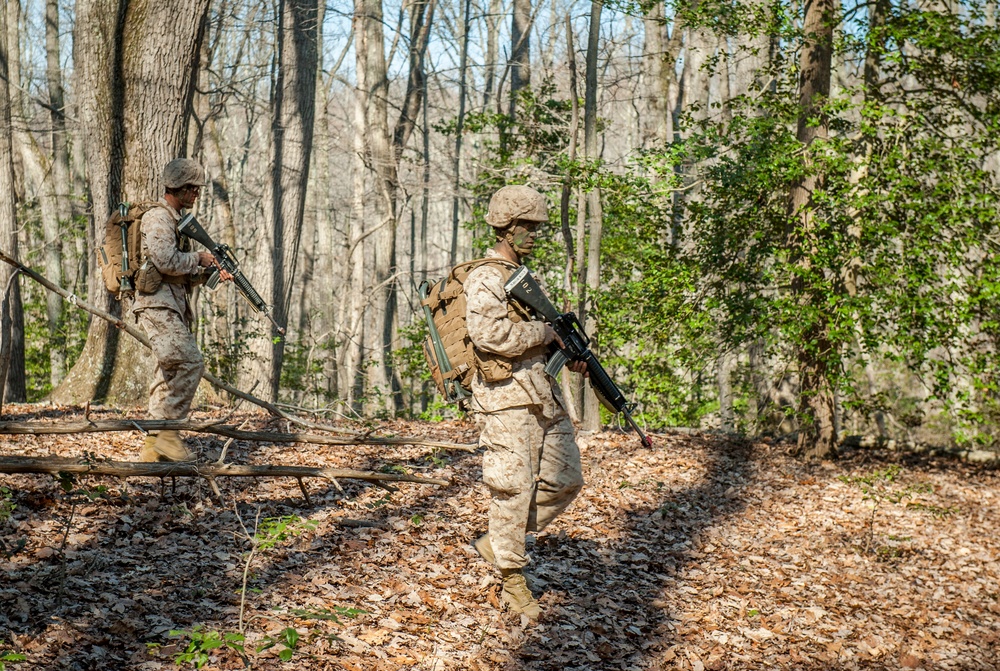 Delta Company Field Exercise