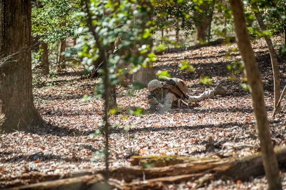 Delta Company Field Exercise