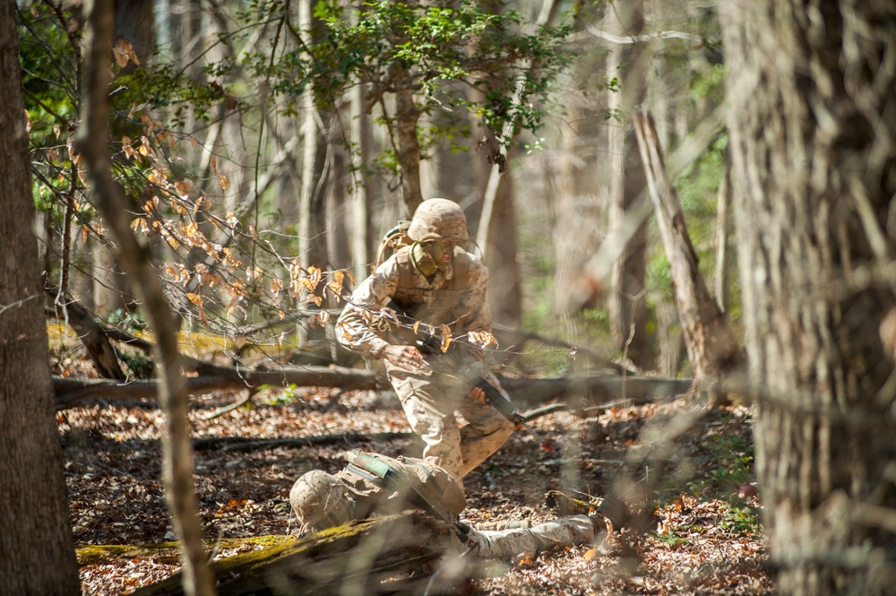 Delta Company Field Exercise