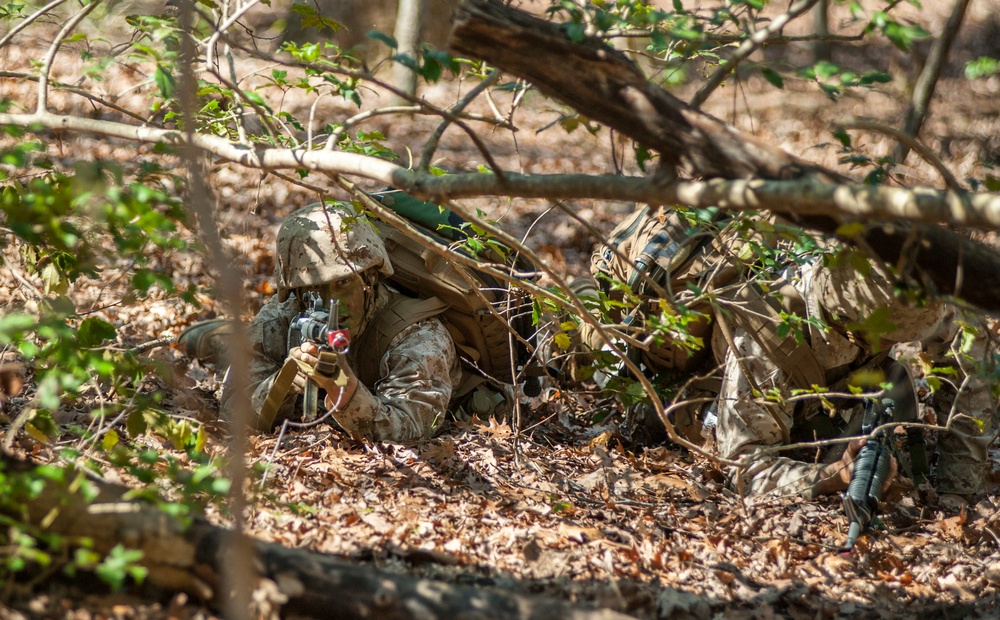 Delta Company Field Exercise