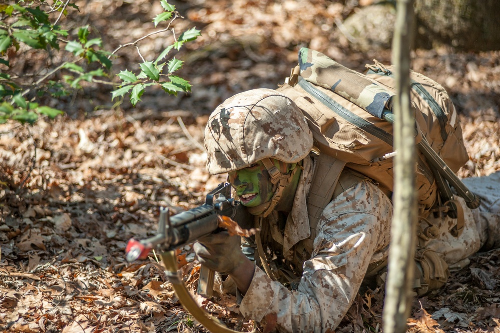 Delta Company Field Exercise