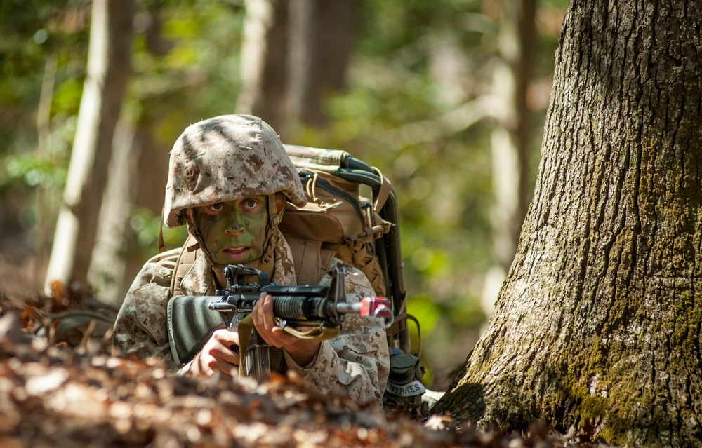 Delta Company Field Exercise