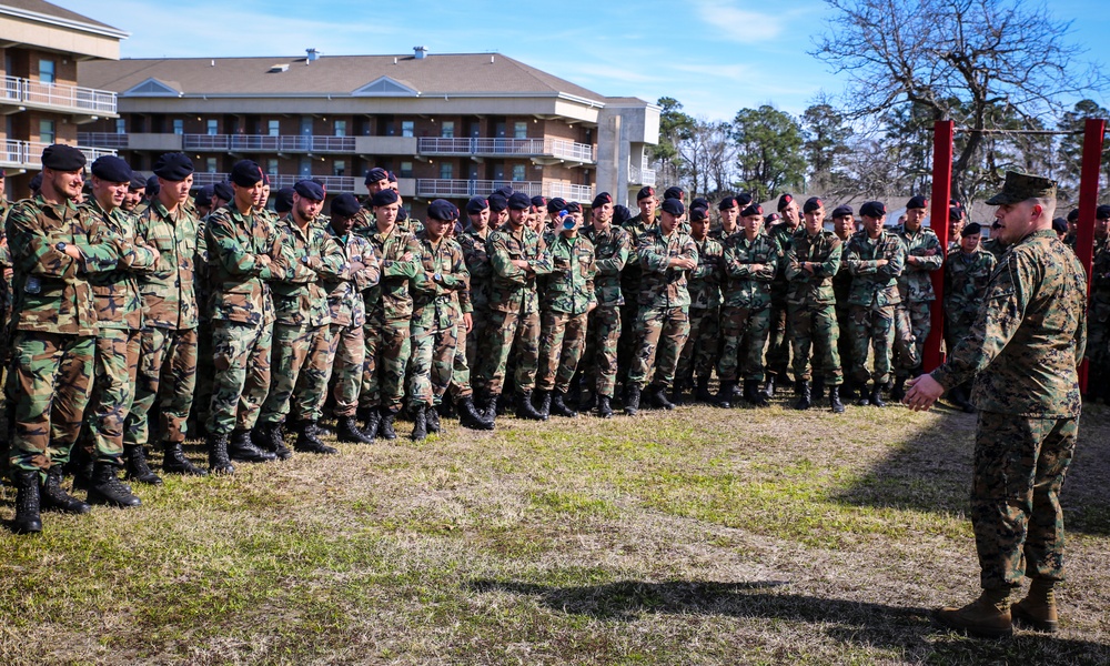 2nd LEB demonstrates MWD's capabilities to Dutch Marines