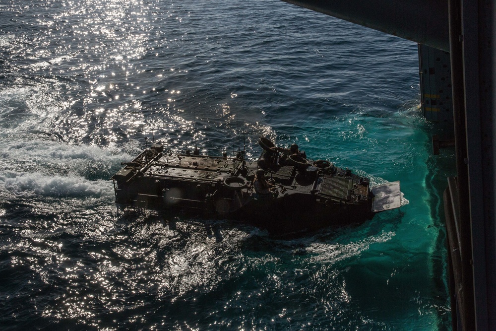 Exercise Iron Fist 2016: Mechanized Embarkation