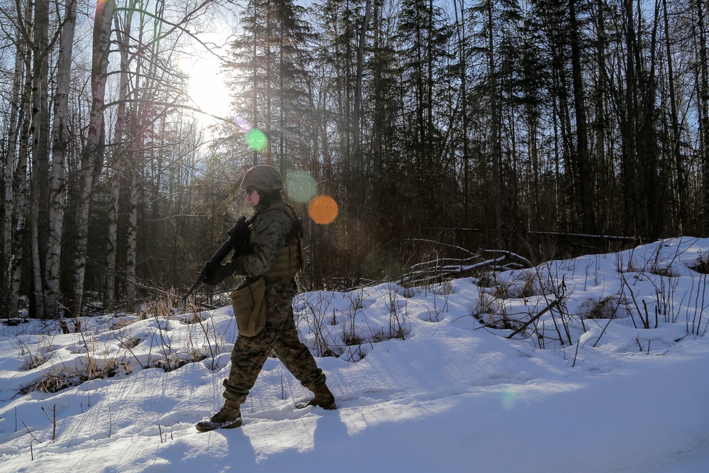Alaskan Marines conduct urban operations training
