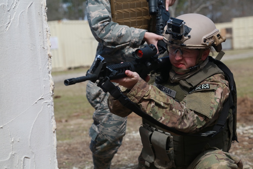 Exercise Scorpion Lens 2016