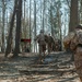 Charlie Company Endurance Course