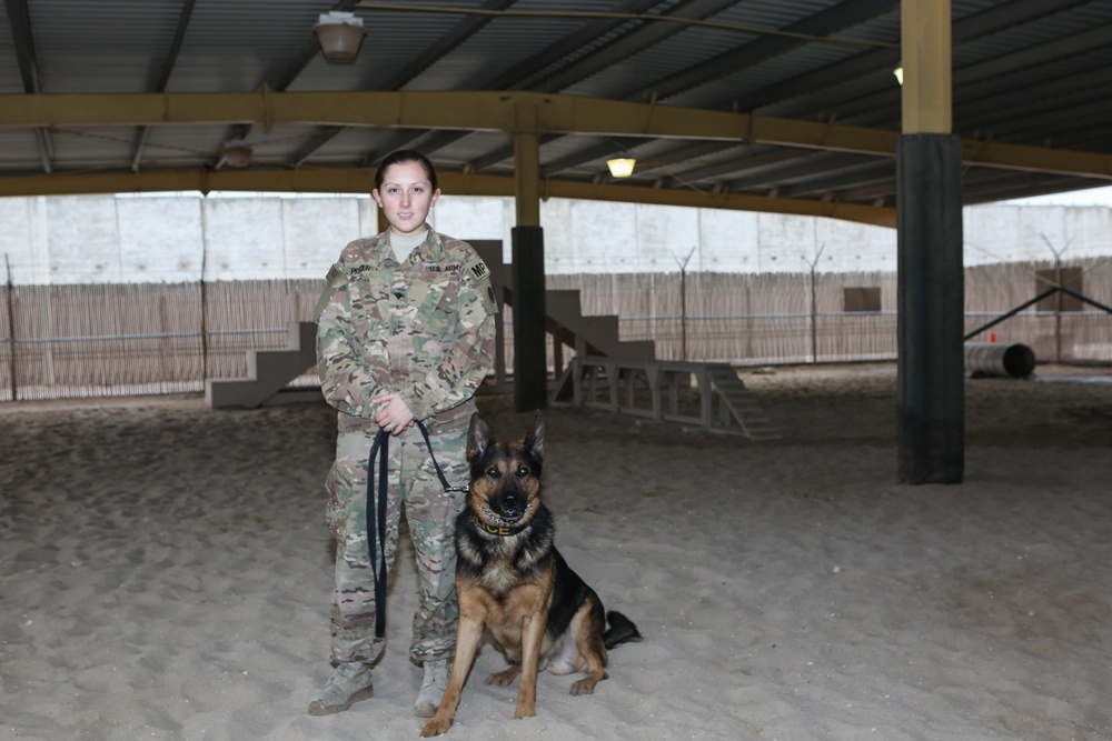 How man's best friend is becoming an American hero