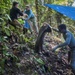 Defense POW/MIA Accounting Agency - Papua New Guinea