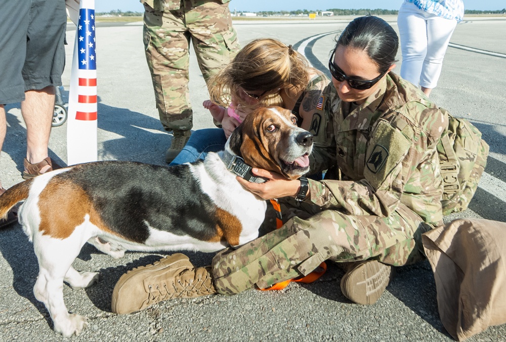 1-265th ADA returns home