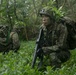 JGSDF observe raid missions
