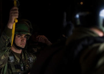 US, NATO allies strengthen ties during Real Thaw 16