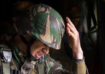 US, NATO allies strengthen ties during Real Thaw 16