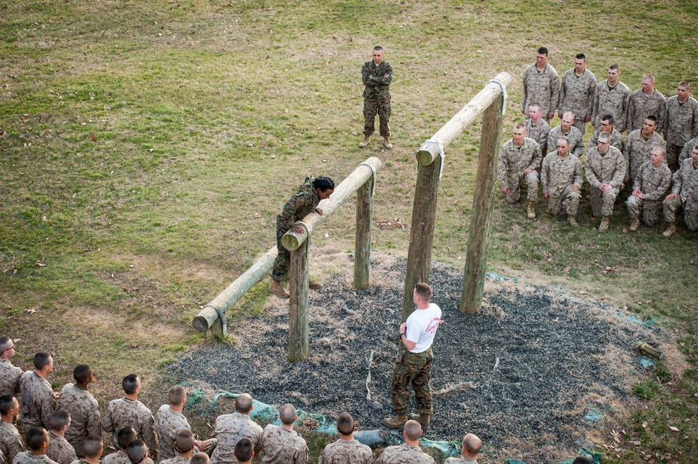 Delta Company Confidence Course &amp; Tarzan Course