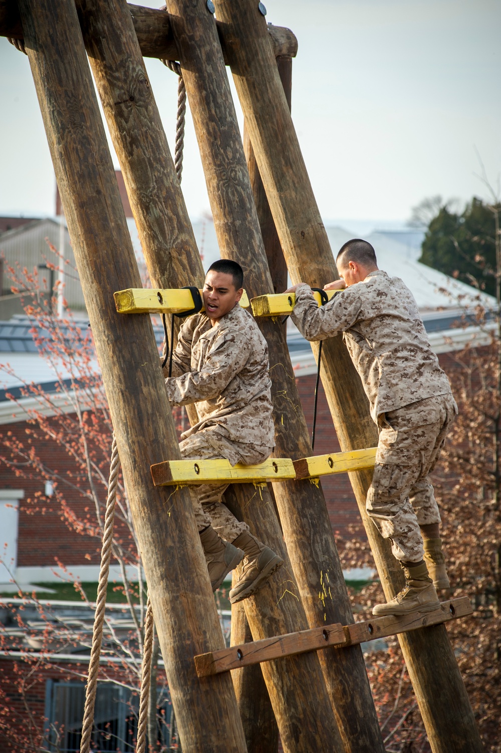 Delta Company Confidence Course &amp; Tarzan Course