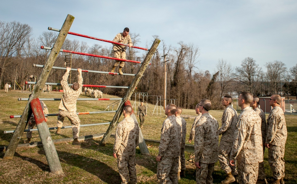 Delta Company Confidence Course &amp; Tarzan Course