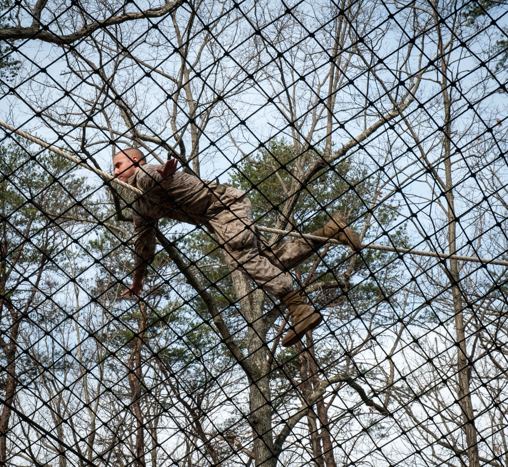 Delta Company Confidence Course &amp; Tarzan Course