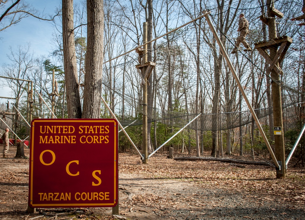 Delta Company Confidence Course &amp; Tarzan Course